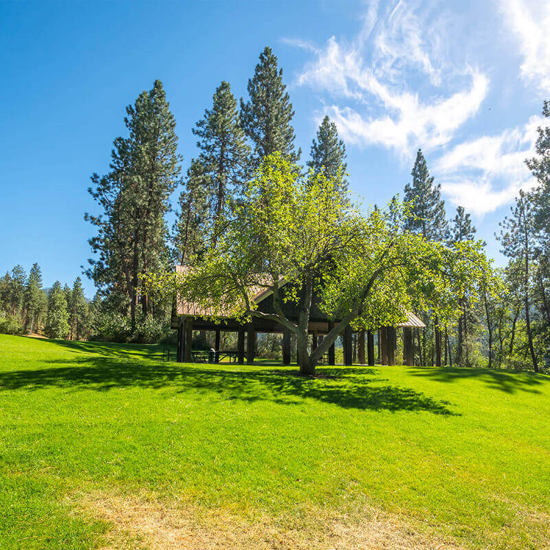 A picturesque view of a park on a summer day.