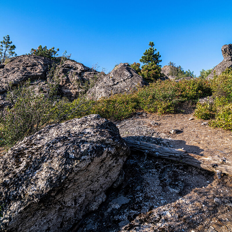 Large rocks beside a trail in the Valley.