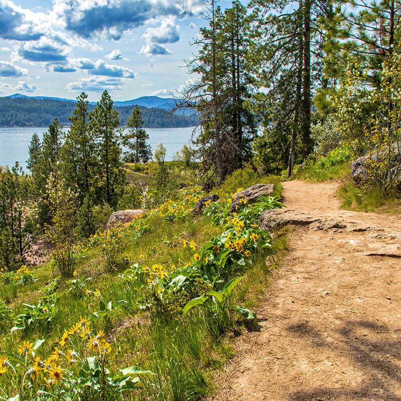 A trail next to a lake.