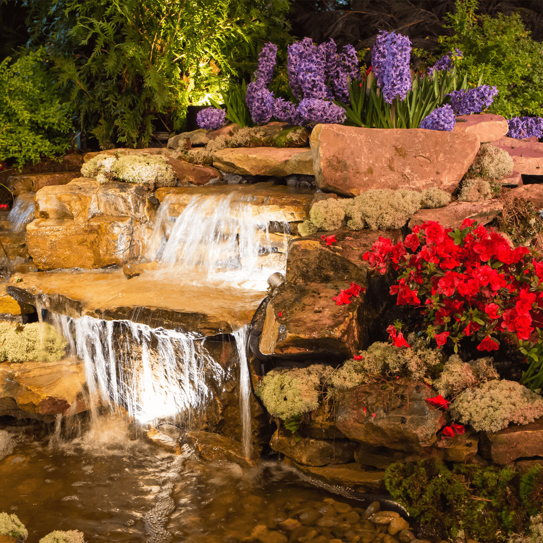 Home Idea Show